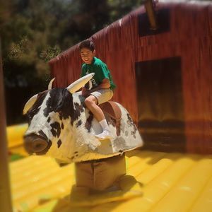 Meet your Posher, Sam